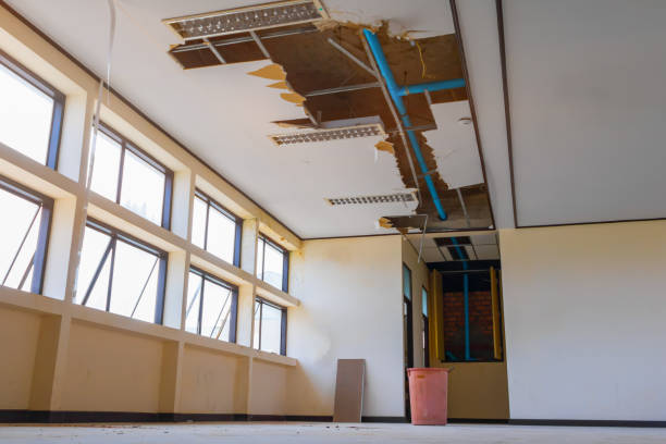 Best Local water damage restoration  in Pelham Manor, NY