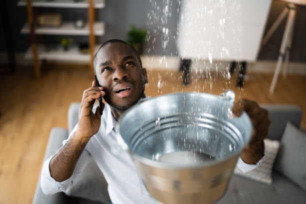 Best Professional water damage repair  in Pelham Manor, NY
