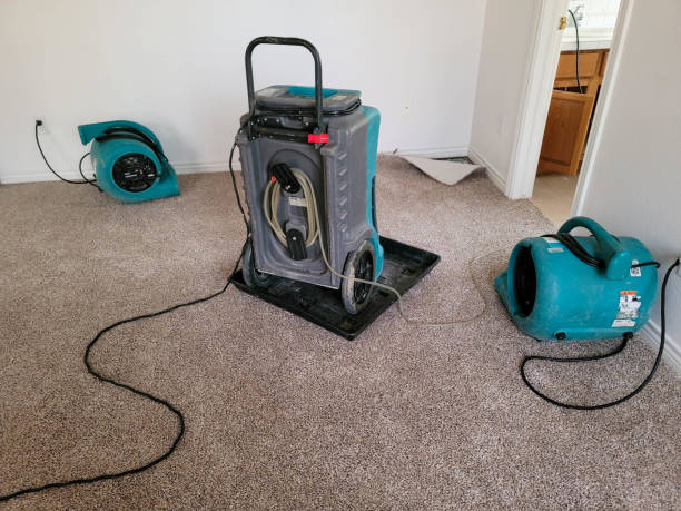 Best Water damage cleanup near me  in Pelham Manor, NY