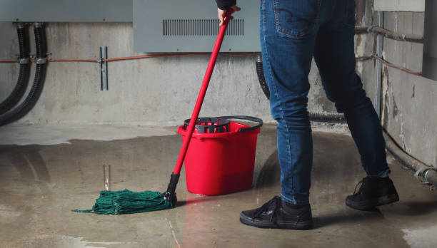 Best Water damage restoration near me  in Pelham Manor, NY