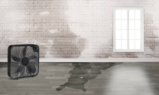 Best Emergency water damage restoration  in Pelham Manor, NY