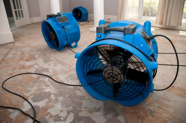 Best Water damage contractors near me  in Pelham Manor, NY
